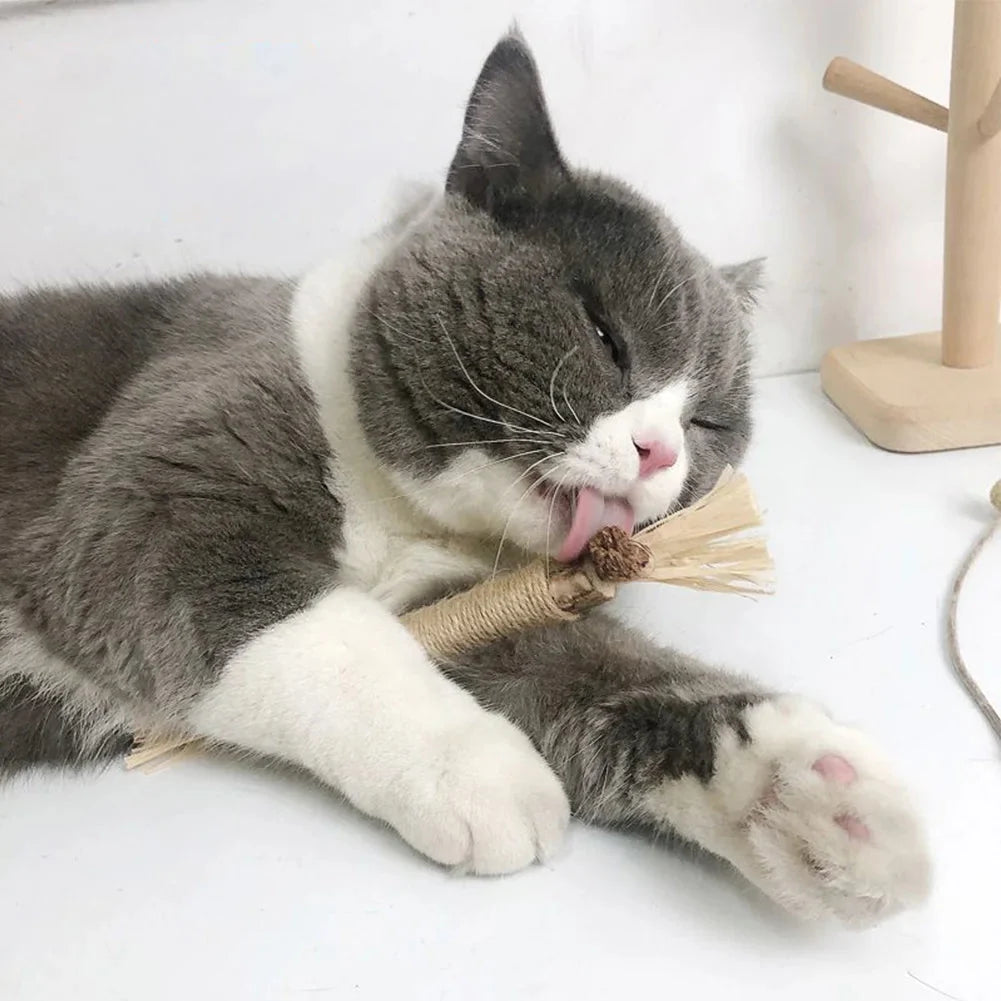 Cat Chew Sticks Silvervine & Catnip Tartar Control Set of 3
