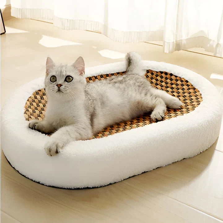 Cat Scratching Lounge Textured Surface & Cushioned Sleeping Area