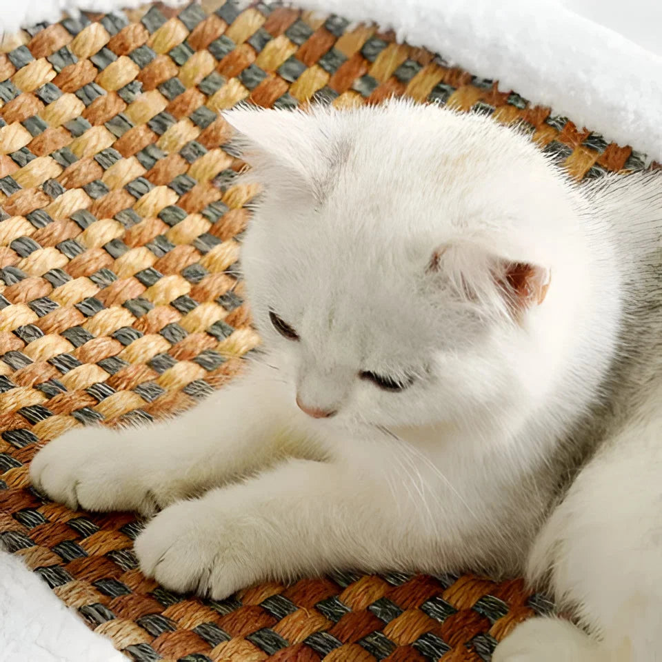 Cat Scratching Lounge Textured Surface & Cushioned Sleeping Area