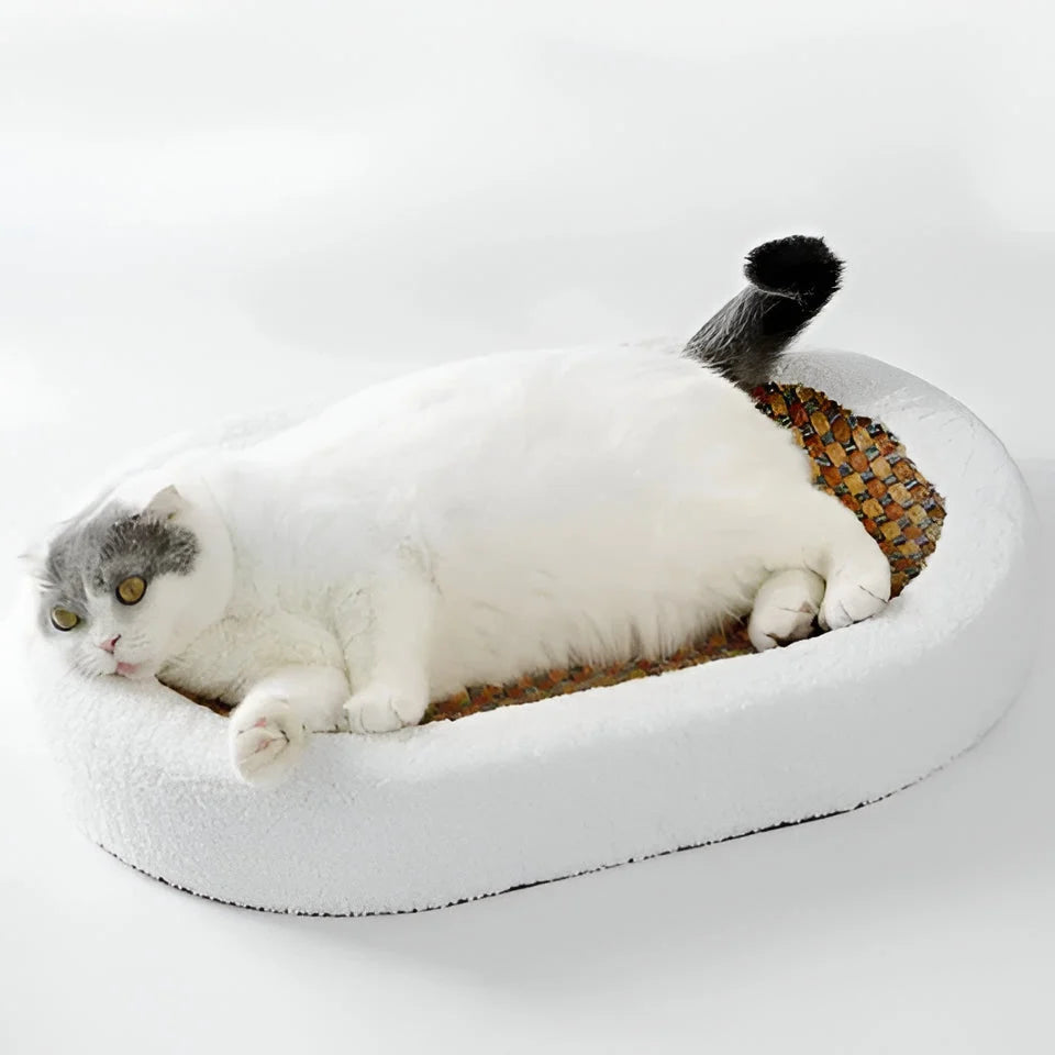 Cat Scratching Lounge Textured Surface & Cushioned Sleeping Area