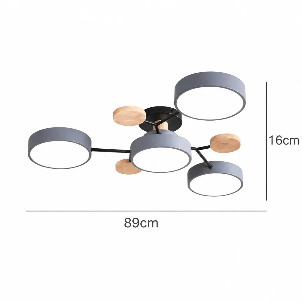 Ceiling Light Round LED Replaceable Elements