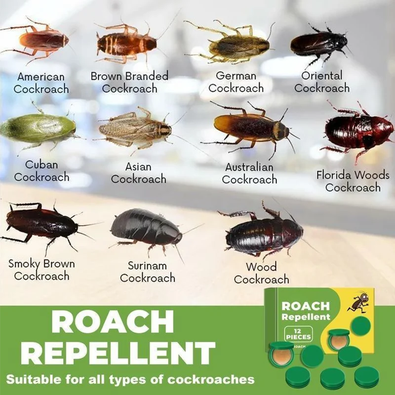 Cockroach Bait Stations Stick-On Adhesive Low Odor 12 Pack