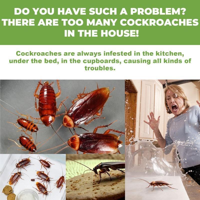 Cockroach Bait Stations Stick-On Adhesive Low Odor 12 Pack