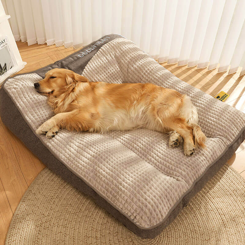 Dog Bed Orthopedic Raised Edges Removable & Machine-Washable Cover