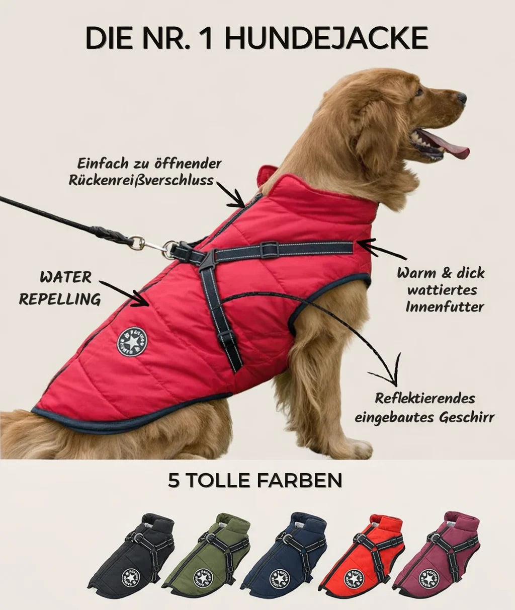 Dog Jacket Wind- & Water-Repellent Integrated Harness Reflective Strips