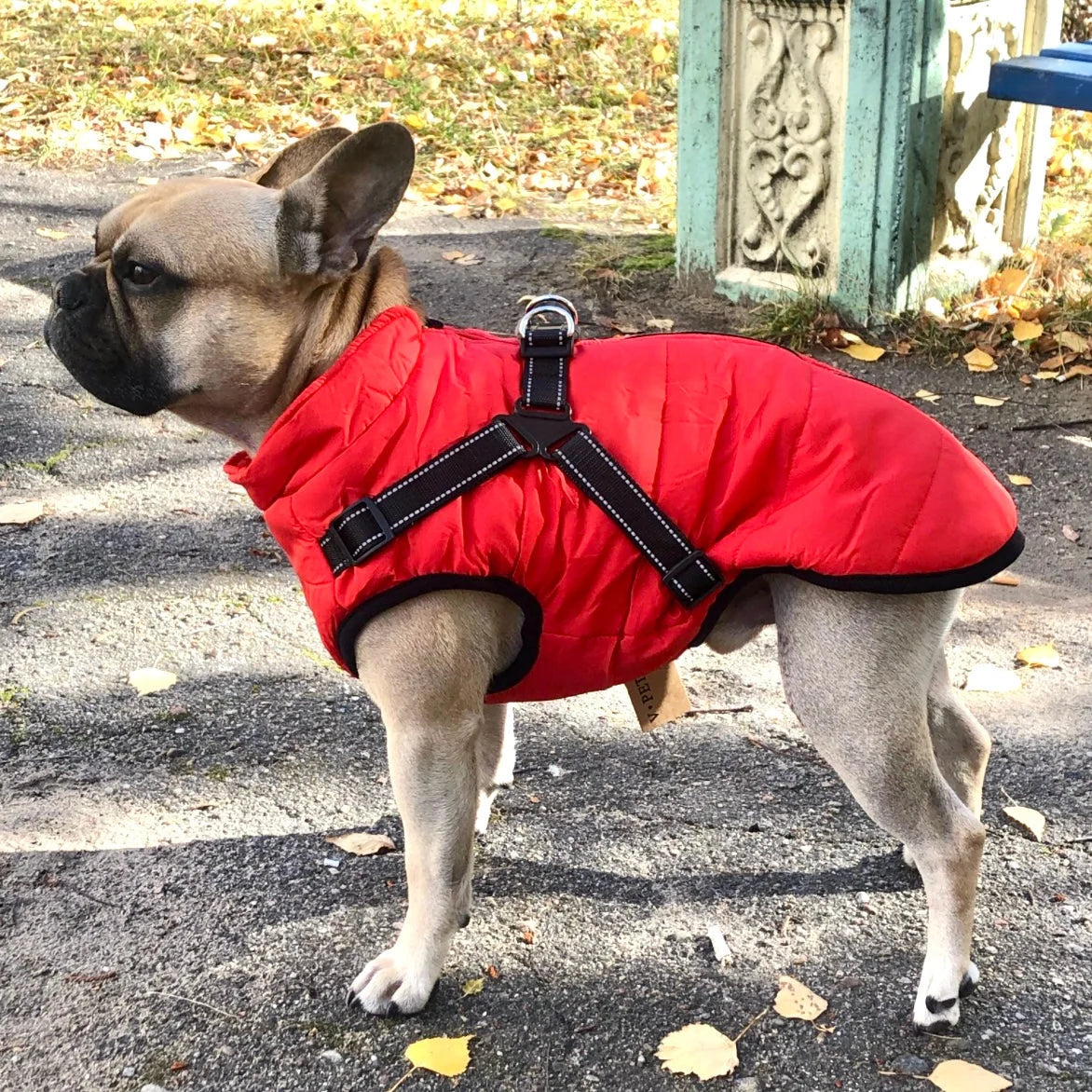 Dog Jacket Wind & Water-Repellent Integrated Harness Reflective Trim