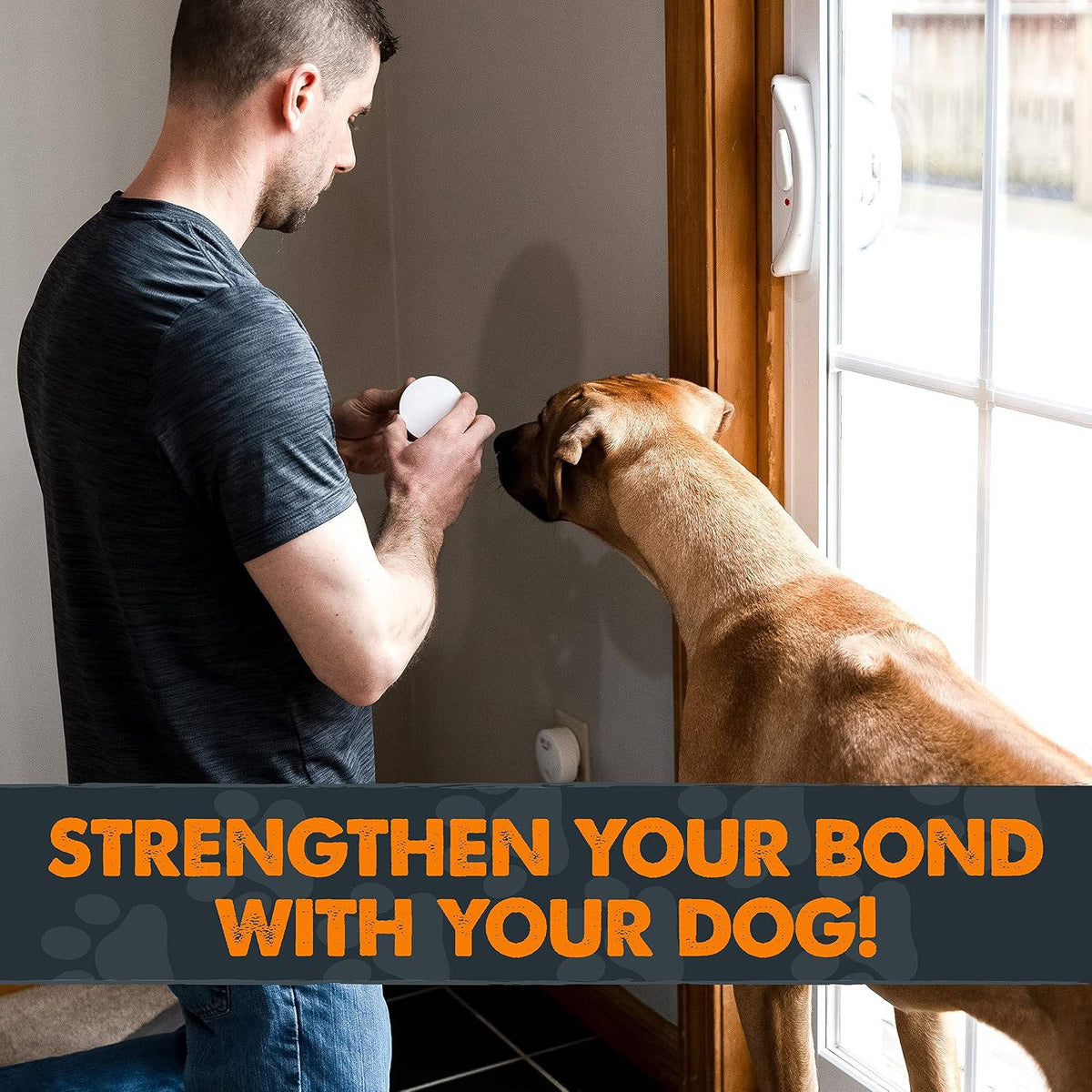 Dog Potty Doorbell Battery-Free Wireless LED & Custom Tones