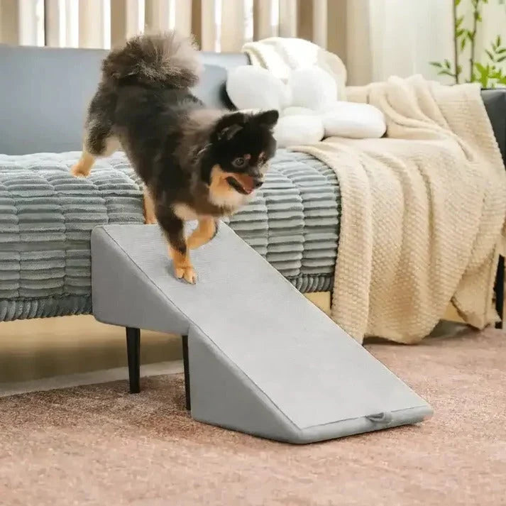 Dog Ramp Convertible Ramp & Steps 200 lb Capacity