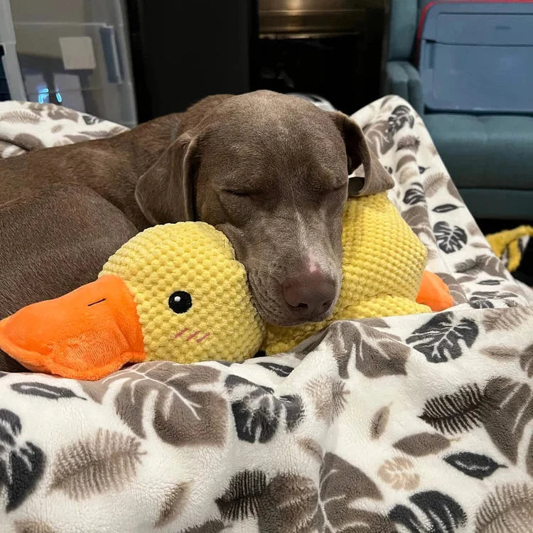 Dog Toy Duck-Shaped Quacking Chew-Resistant