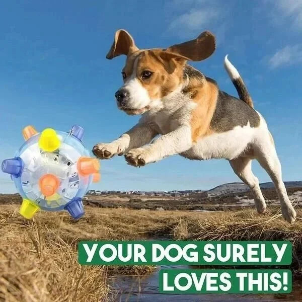 Dog Toy Touch-Activated Jumping Pet-Safe