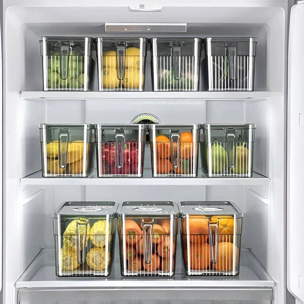 Fridge Storage Box Clear Walls & Ventilated Lid Stackable