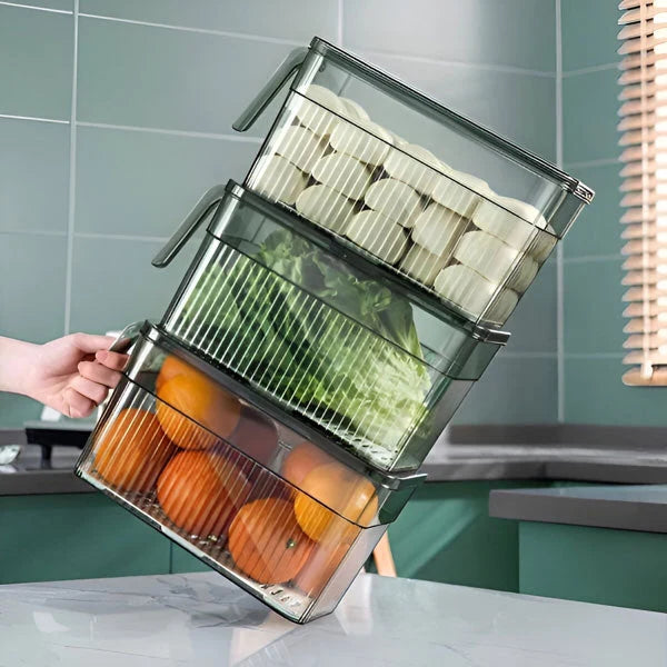 Fridge Storage Box Clear Walls & Ventilated Lid Stackable