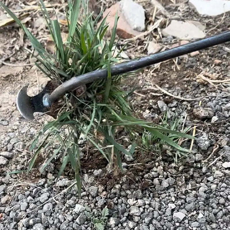 Garden Weeder Long-Handle Precision Claw Cushioned Grip