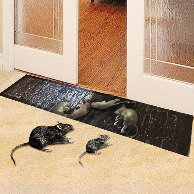 Glue Traps Extra-Strong Adhesive Large Non-Toxic 10-Pack