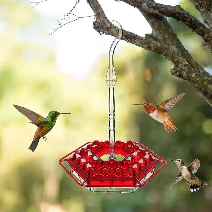 Hummingbird Feeder 30 Openings & Ant-Proof Water Moat