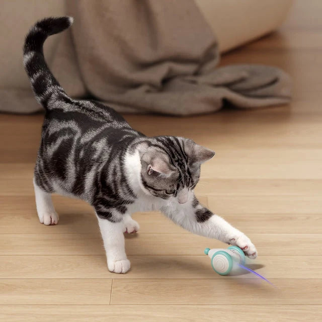 Interactive Cat Toy Self-Driving Laser & Self-Righting