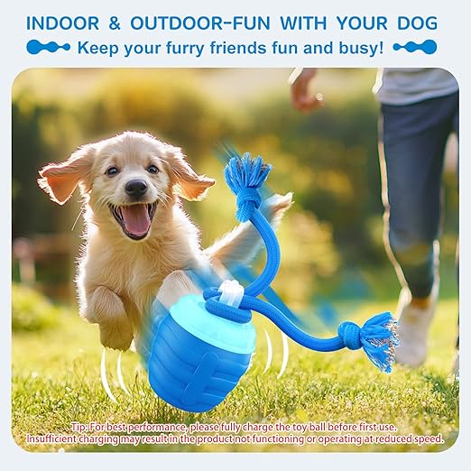 Interactive Dog Ball Motion-Activated USB Rechargeable
