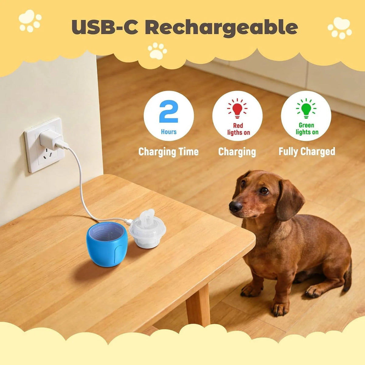 Interactive Dog Ball Motion-Activated USB Rechargeable