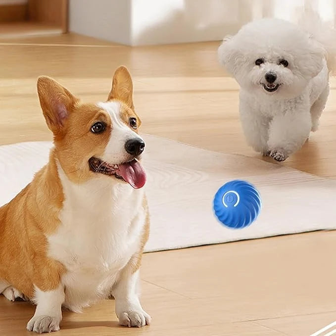 Interactive Dog Toy Unpredictable Motion Smart Sensors