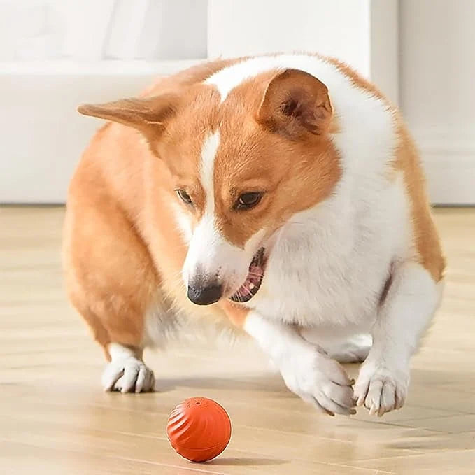 Interactive Dog Toy Unpredictable Motion Smart Sensors