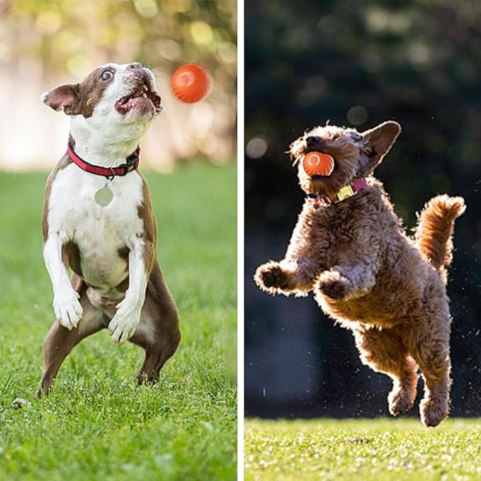 Interactive Dog Toy Unpredictable Motion Smart Sensors