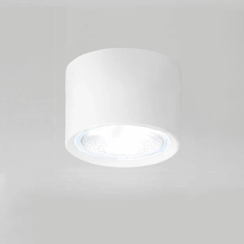 LED Ceiling Spotlight Adjustable Rotating Head Flush Mount