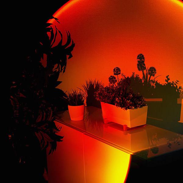 LED Sunset Lamp Warm Halo Adjustable Swivel Head
