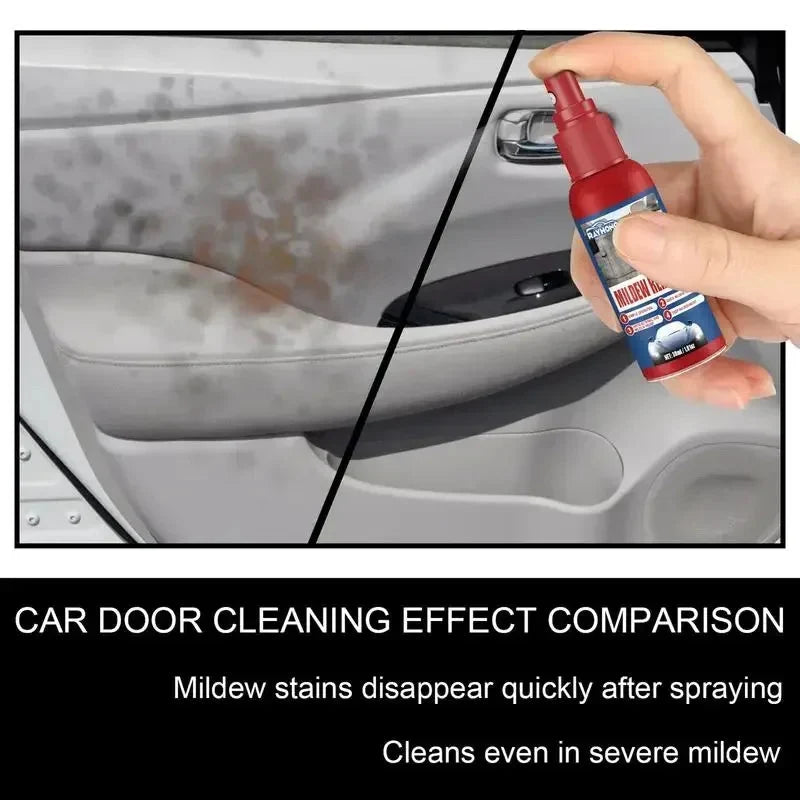 Mold Remover Spray Fast-Acting Antibacterial Interior-Safe