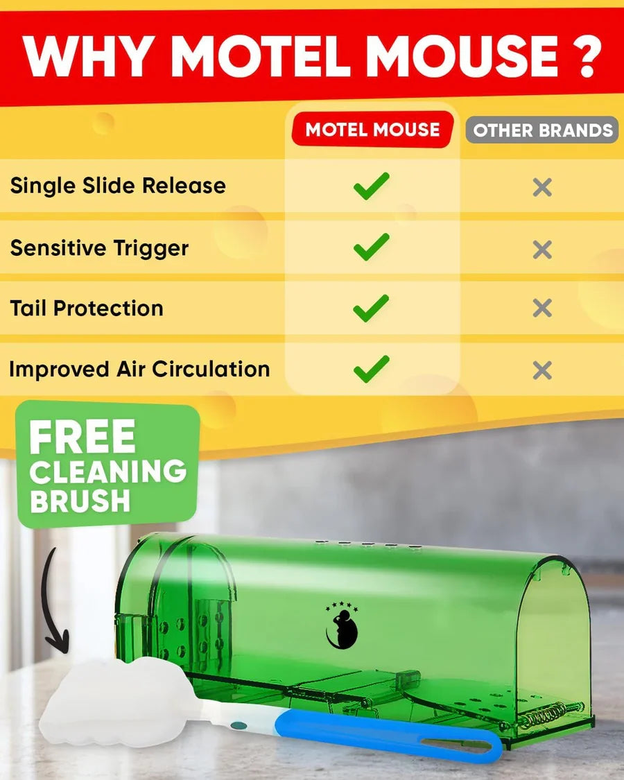 Mouse Trap Live Catch and Release Clear Body Set of 4