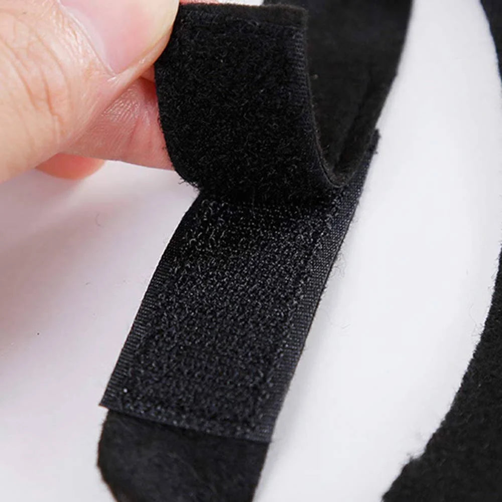 Pet Bat Wings Lightweight Felt Adjustable Straps