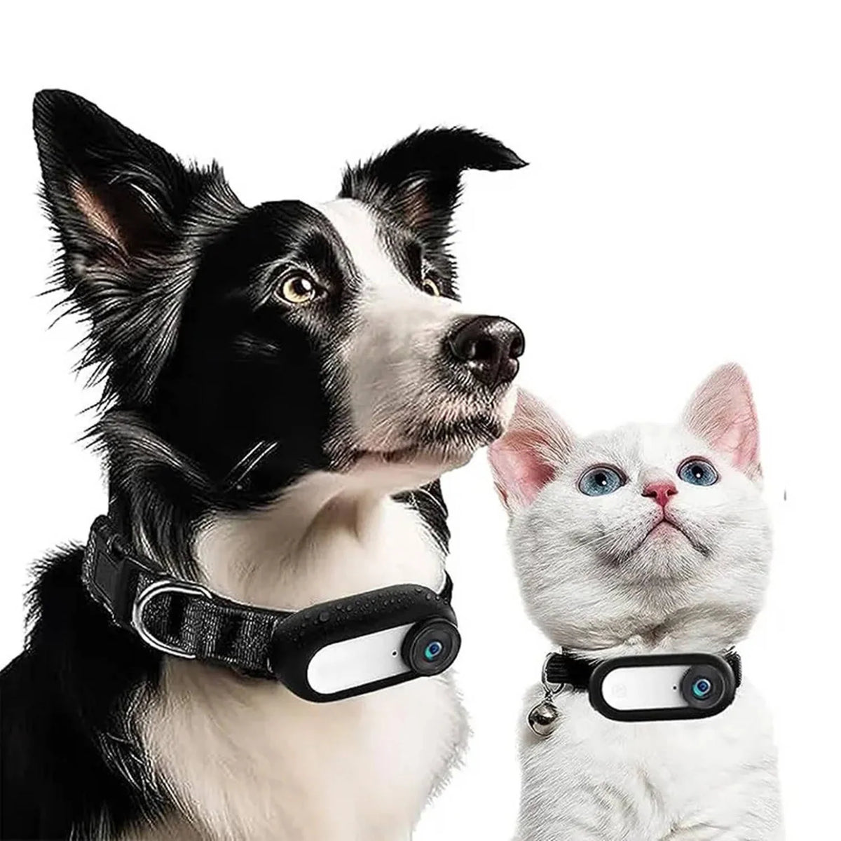 Pet Camera Collar Magnetic Mount 170° Wide-Angle Night Vision