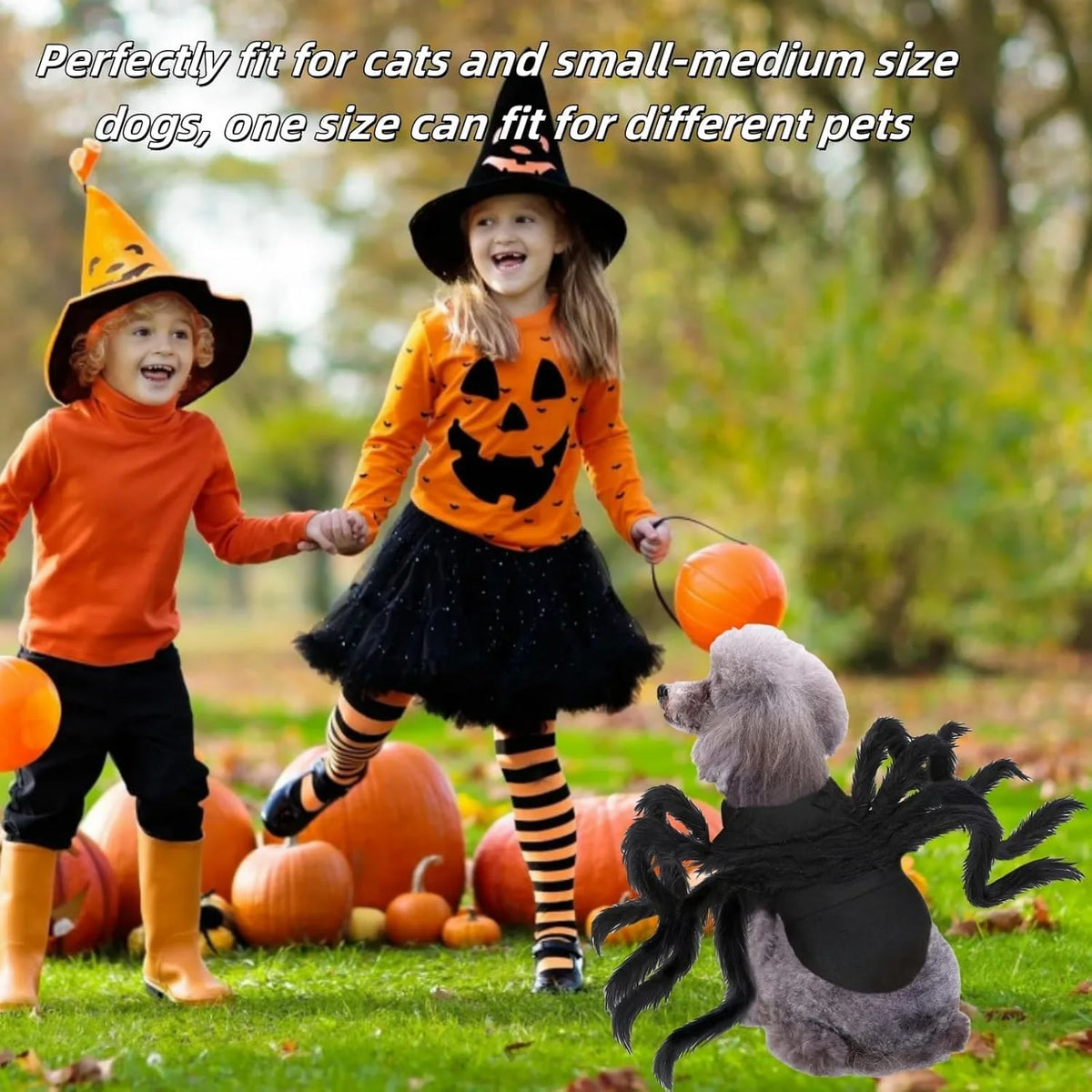 Pet Costume Spider Bendable Wire Legs Adjustable Straps