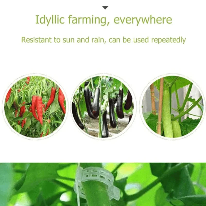 Plant Support Clips Quick-Release Reusable Set of 100