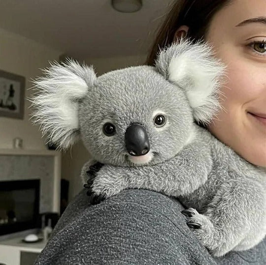 Plush Toy Koala Evenly Weighted Contoured Shape