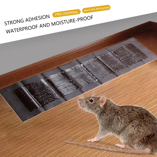Rodent Sticky Traps Extra Large Non-Toxic Set of 5