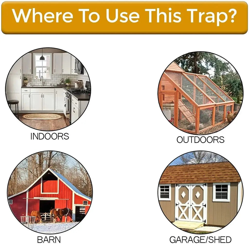 Rodent Trap Enclosed Reusable Counterweighted Plank Design