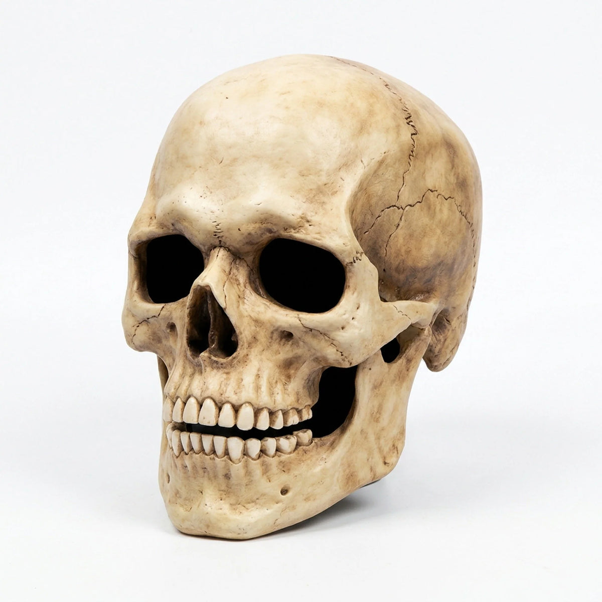 Skull Mask Full-Head Soft Latex Movable Jaw