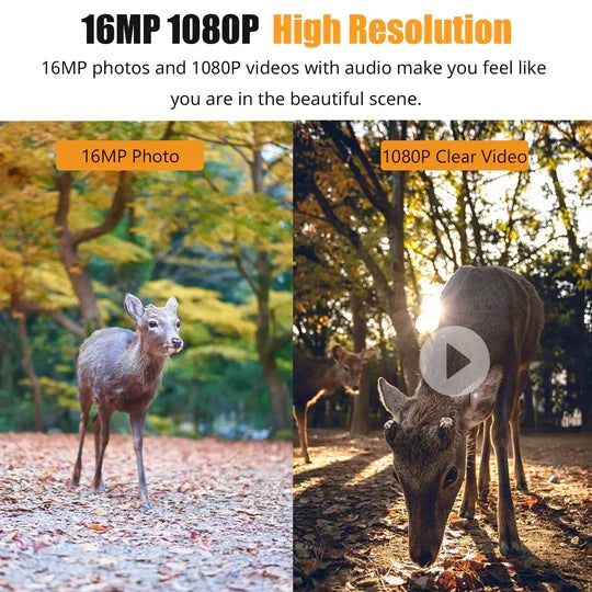 Trail Camera 1080P Full HD 16MP Night Vision Weather-Resistant