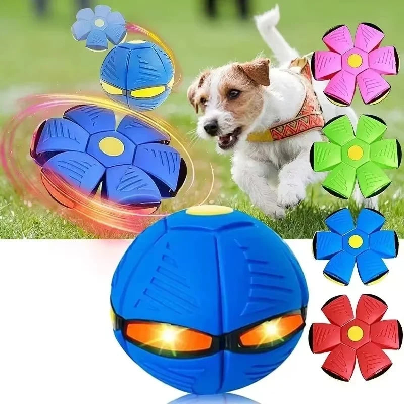Transforming Toy Dual-Shape Lightweight Non-Toxic
