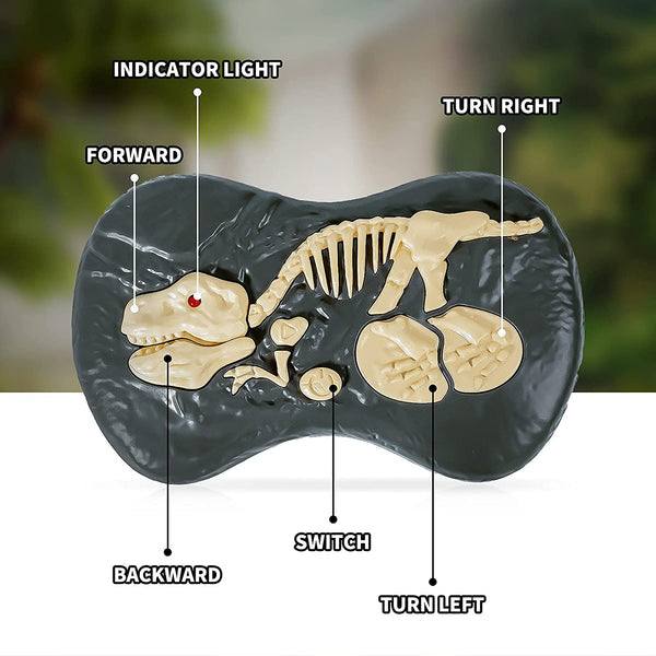 Velociraptor Toy Remote Control Walking & Growling