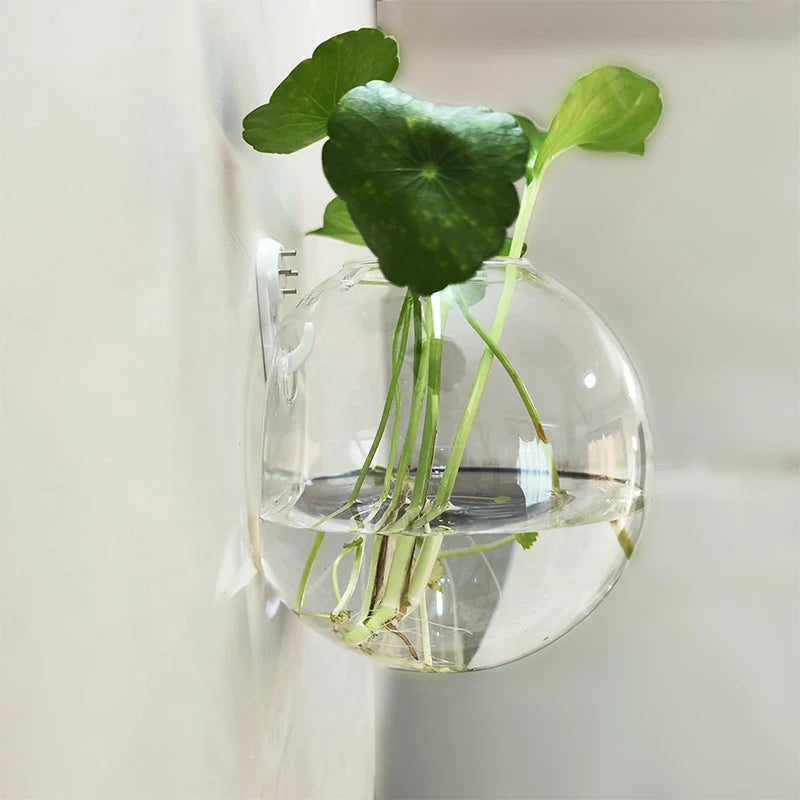 Wall Vase Drill-Free Mounting Borosilicate Glass