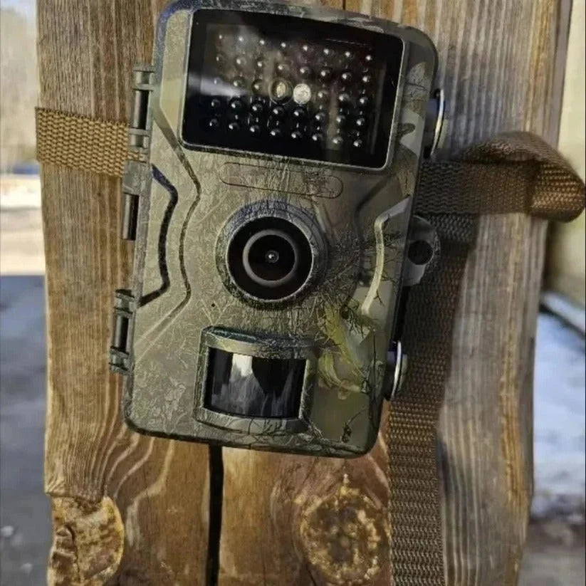 Wildlife Camera No-Glow Infrared Night Vision Waterproof