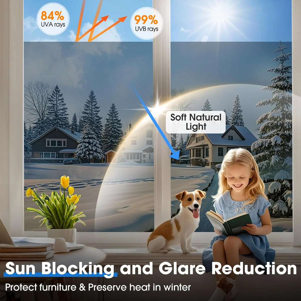 Window Privacy Film Daytime One-Way Self-Adhesive & Reusable
