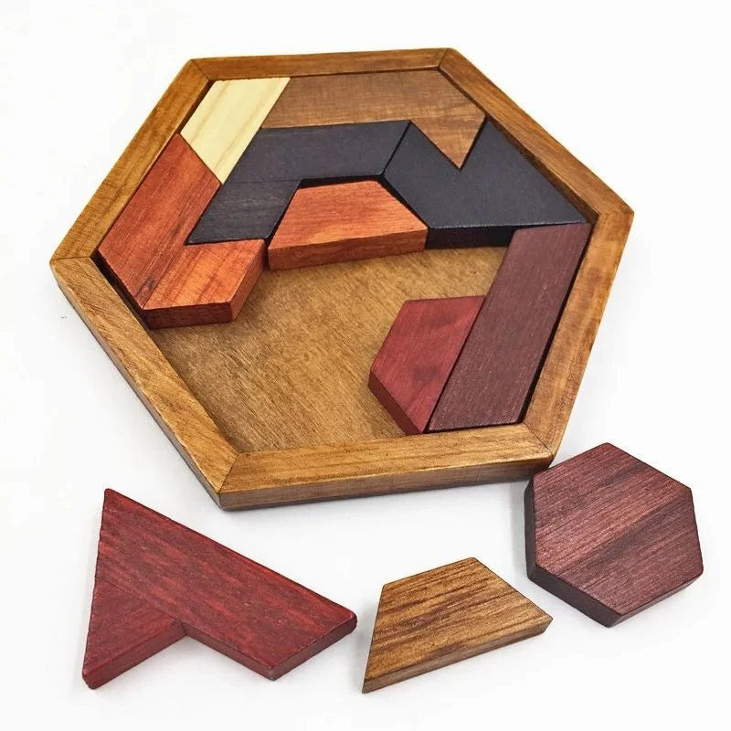Wooden Puzzle Hexagonal 120 Challenges With Storage Case