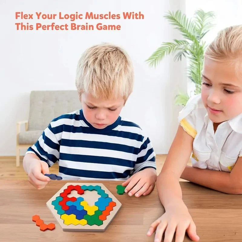Wooden Puzzle Hexagonal 120 Challenges With Storage Case
