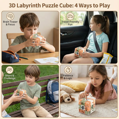 3D Puzzle Cube Portable Clear Maze Sealed Metal Ball