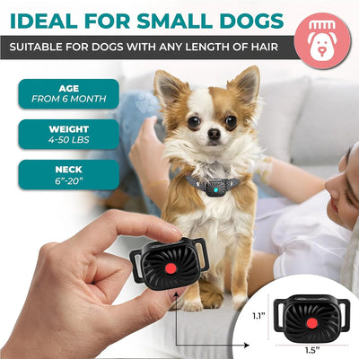 Anti-Bark Collar Small Dogs Sound & Vibration