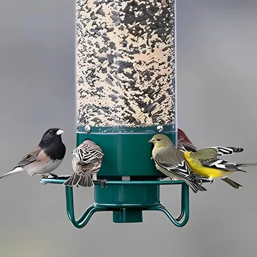 Bird Feeder Squirrel-Resistant Spinning Perch Weather-Resistant