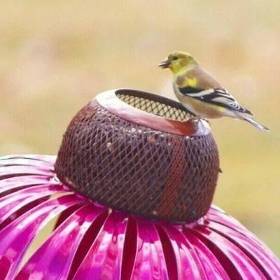 Bird Feeder Weather-Resistant Metal Hinged Lid for Easy Refills