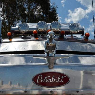 Car Grille Emblem Duck Design Chrome-Plated Pin Mount